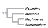 taxon links