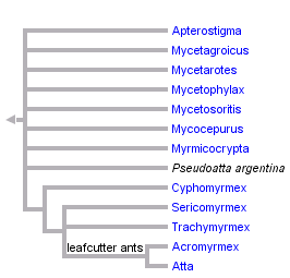 taxon links