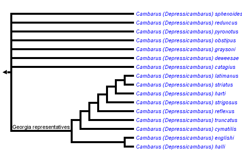 taxon links