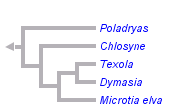 taxon links