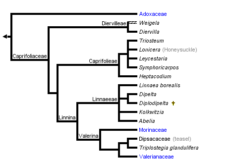 taxon links