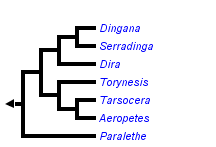 taxon links