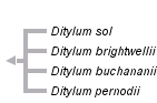 taxon links