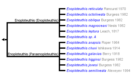 taxon links