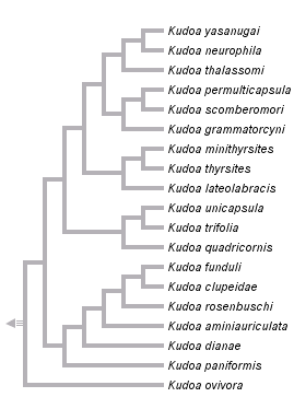 taxon links