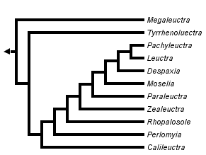 taxon links