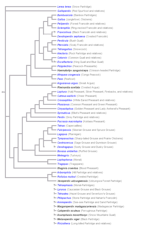 taxon links