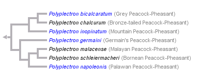 taxon links