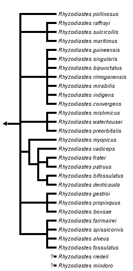 taxon links