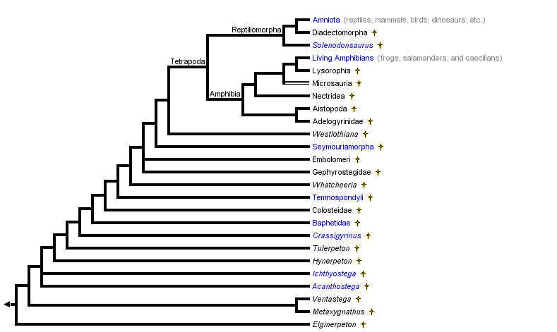 taxon links