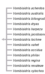 taxon links