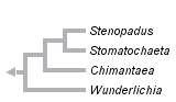 taxon links