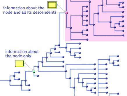 Relevance of objects attached to a node