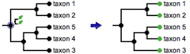 marking a group of nodes as leaves